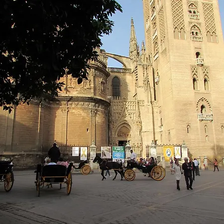 Plaza Alfalfa Centro * Séville