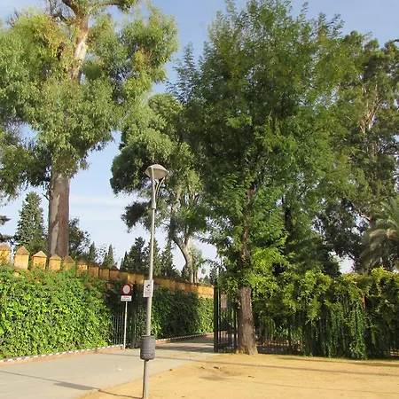 Plaza Alfalfa Centro Sevilla