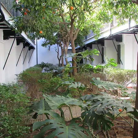 Appartement Plaza Alfalfa Centro